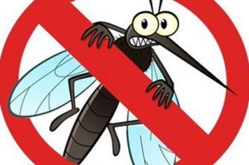 BOLETIM EPIDEMIOLÓGICO - 12/08/2020 - DENGUE