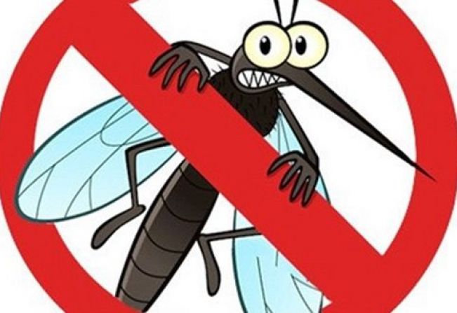 BOLETIM EPIDEMIOLÓGICO - 12/08/2020 - DENGUE