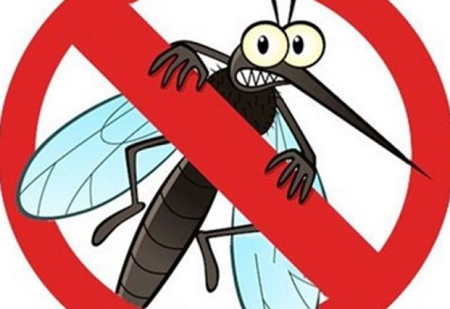 BOLETIM EPIDEMIOLÓGICO - 05/08/2020 - DENGUE